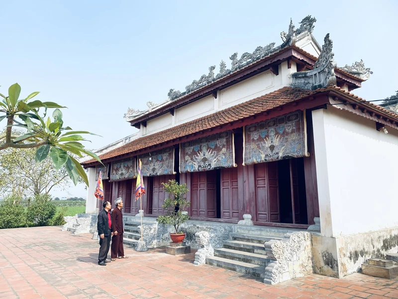 Những nẻo về nguồn cội