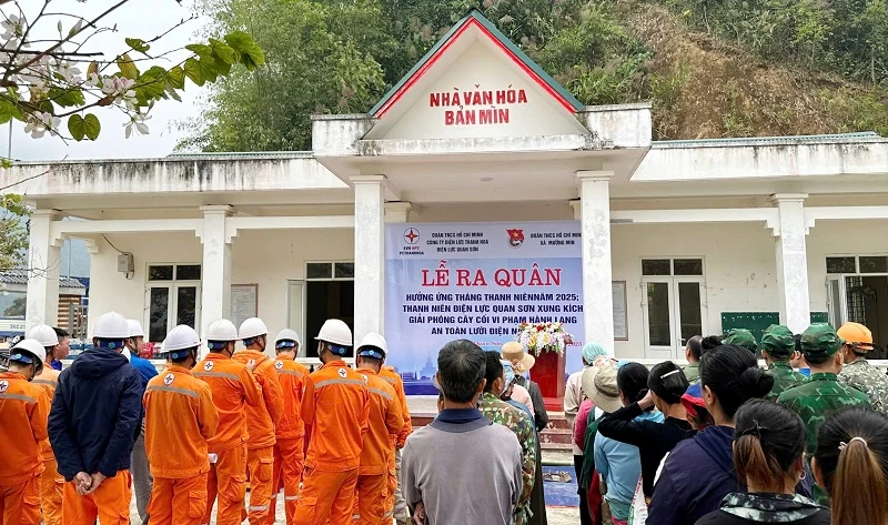 Tuổi trẻ Công ty Điện lực Thanh Hóa chung tay vì lưới điện an toàn và môi trường xanh