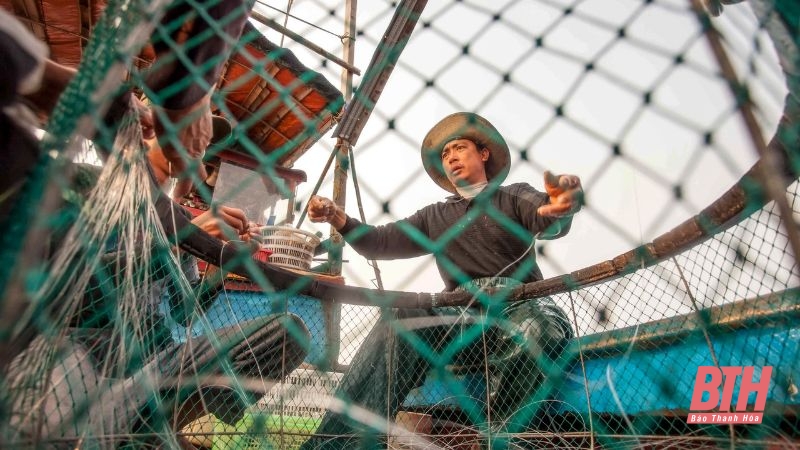Vượt sóng vươn khơi, giữ hồn biển cả