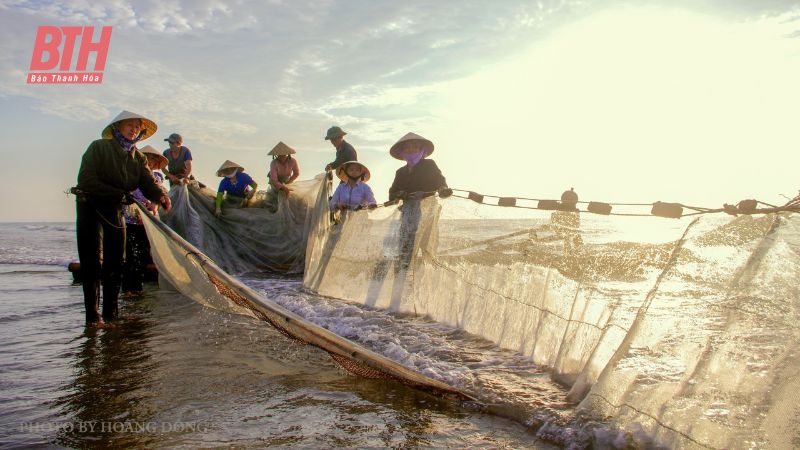 Vượt sóng vươn khơi, giữ hồn biển cả