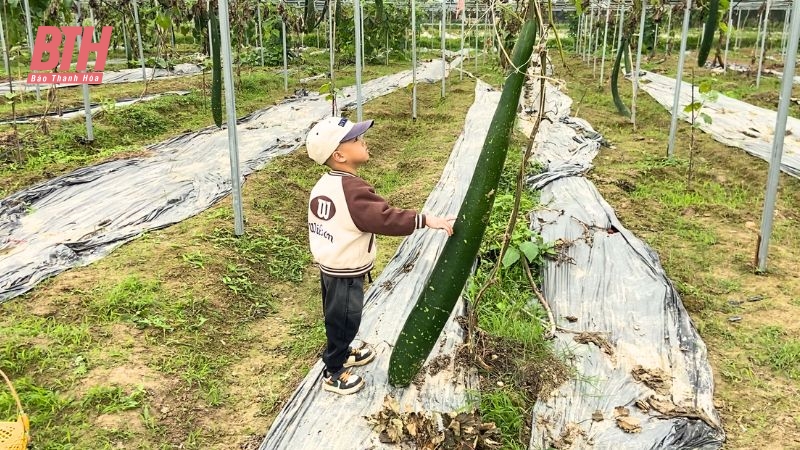 Điểm đến trải nghiệm nông trại lý tưởng cho học sinh