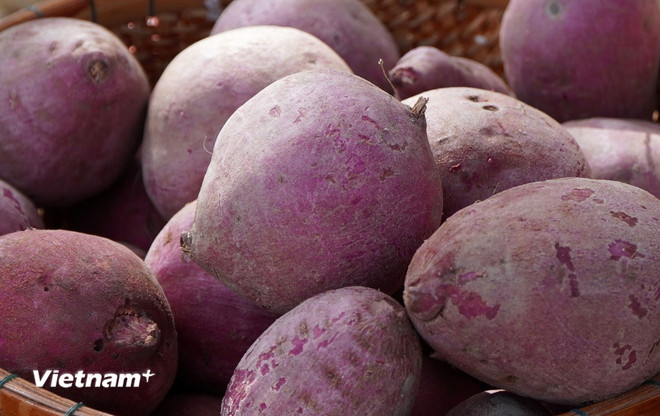 Những loại thực phẩm giúp chị em nói lời tạm biệt với làn da khô
