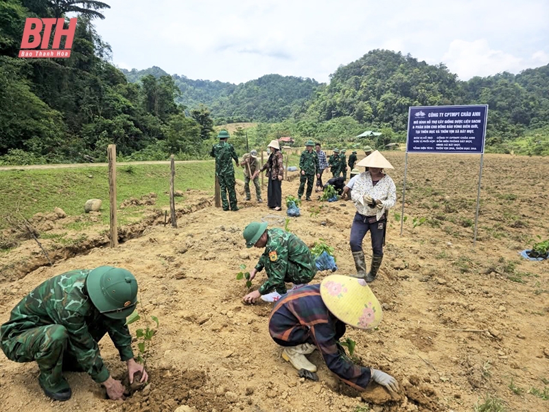 Thắm tình quân dân nơi link đăng nhập m88 Bát Mọt