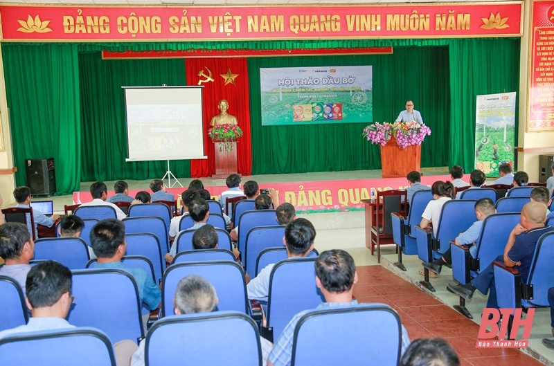 Đánh giá mô hình liên kết sản xuất giống link vào m88 bhki FL2215 chuyên phục vụ chế biến