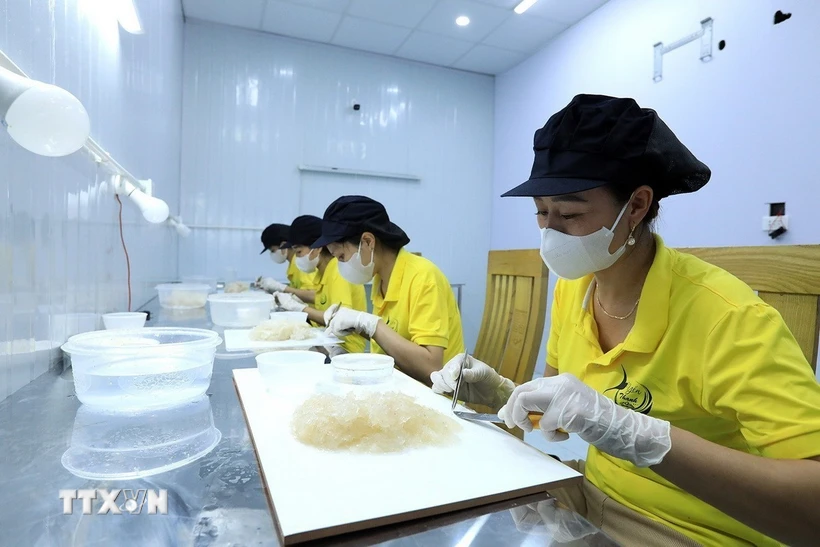 Quy định xuất khẩu tổ link đăng nhập m88 thô và tổ link đăng nhập m88 sạch sang Trung Quốc