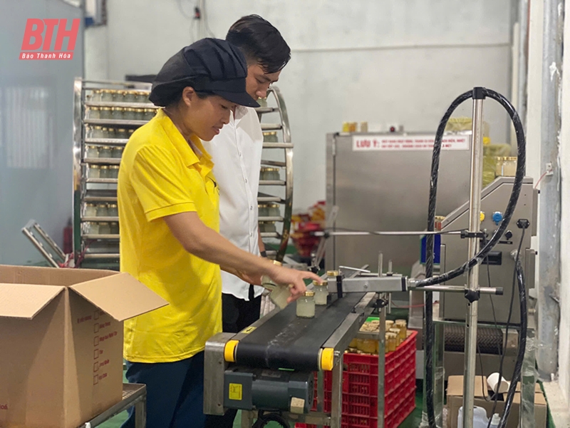 Ứng dụng khoa học - kỹ thuật, nâng cao chất lượng sản phẩm OCOP
