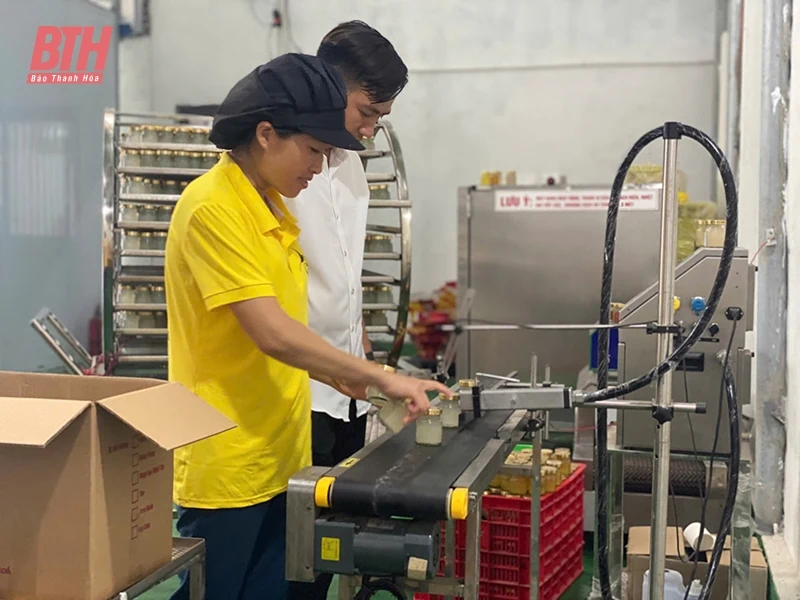 Ứng dụng khoa học - kỹ thuật, nâng cao chất lượng sản phẩm OCOP