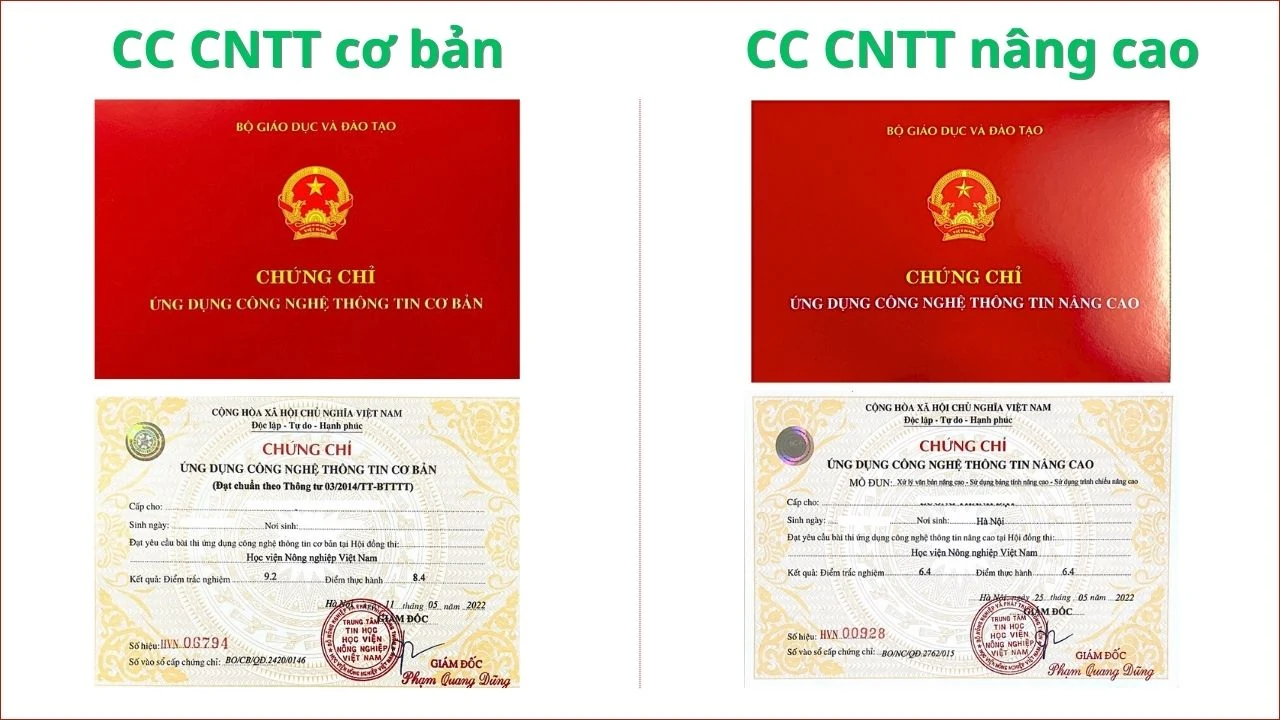 Edulife cam kết đầu ra chứng chỉ tin học hiệu quả