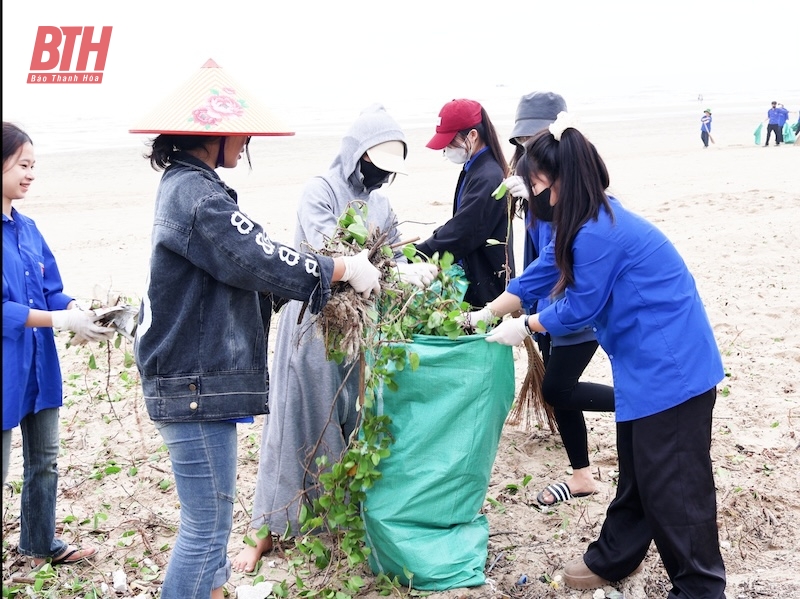 Hơn 600 người tham gia tổng vệ sinh môi kèo nhà cái m88 tại Khu du lịch biển Hải Hòa
