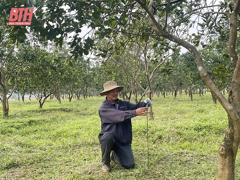 Tối ưu hóa quy trình sản xuất nông nghiệp