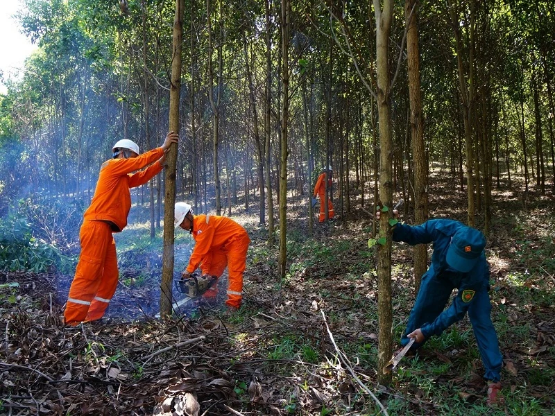 Công ty Điện lực nhà cái m88 tăng cường giải pháp đảm bảo cung ứng điện cho dịp nghỉ lễ 30/4, 1/5 và mùa hè 2025