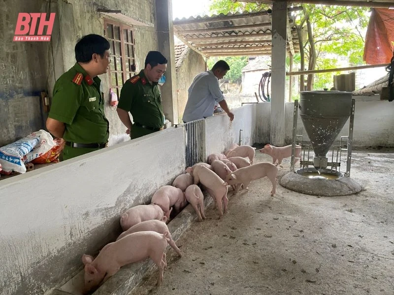 Đặc xá và hành trình tìm lại thiện lương