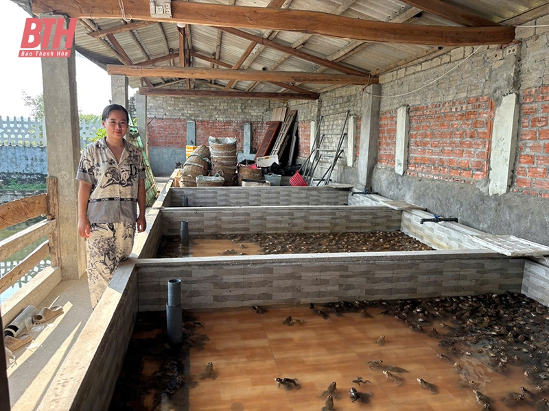 Phát triển mô hình kinh tế từ nguồn vốn vay tài chính vi mô Thanh Hóa