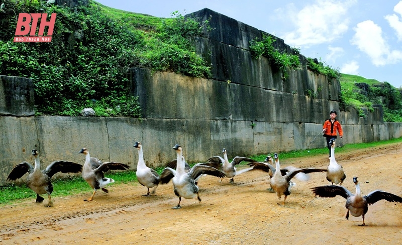 Thành Nhà Hồ trong mắt học giả nước ngoài