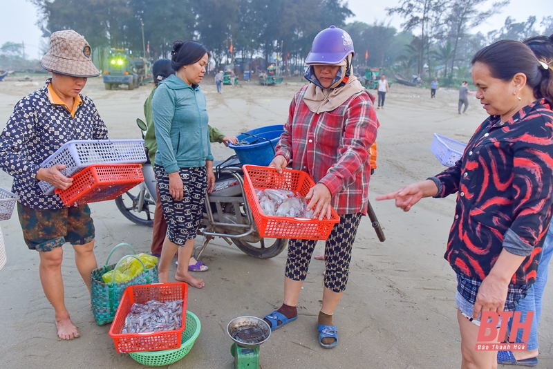 Ngư dân Quảng Xương ra khơi “săn” lộc biển dịp nghỉ lễ 30/4