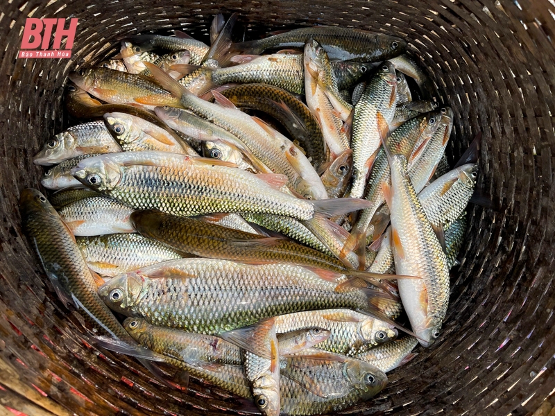 “Khúc suối thân thiện” gắn kết cộng đồng dân bản