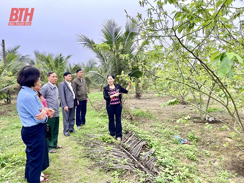 cá cược bóng đá m88 thị xã Nghi Sơn sống “tốt đời, đẹp đạo”
