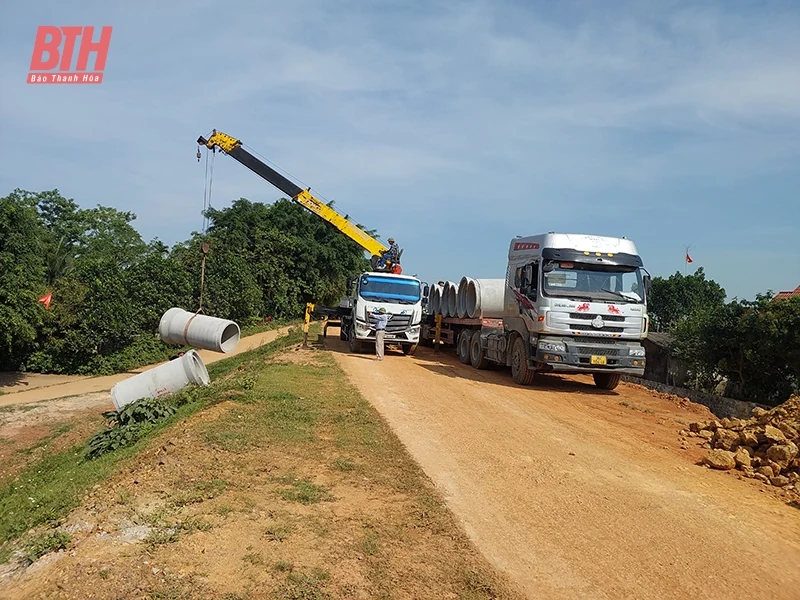 Gấp rút tu bổ các điểm xung yếu đê điều phục vụ phòng, chống lụt bão