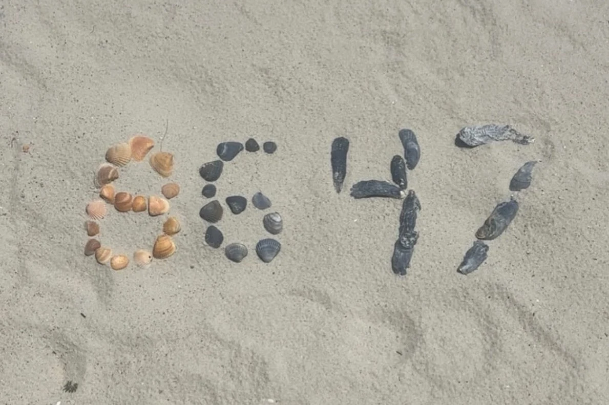 Cựu giám đốc FBI bị điều tra vì kêu gọi ám sát tổng thống Mỹ