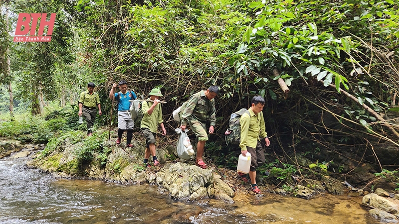 Phát triển lâm m88 the thao bền vững: Tạo sinh kế cho đồng bào miền núi