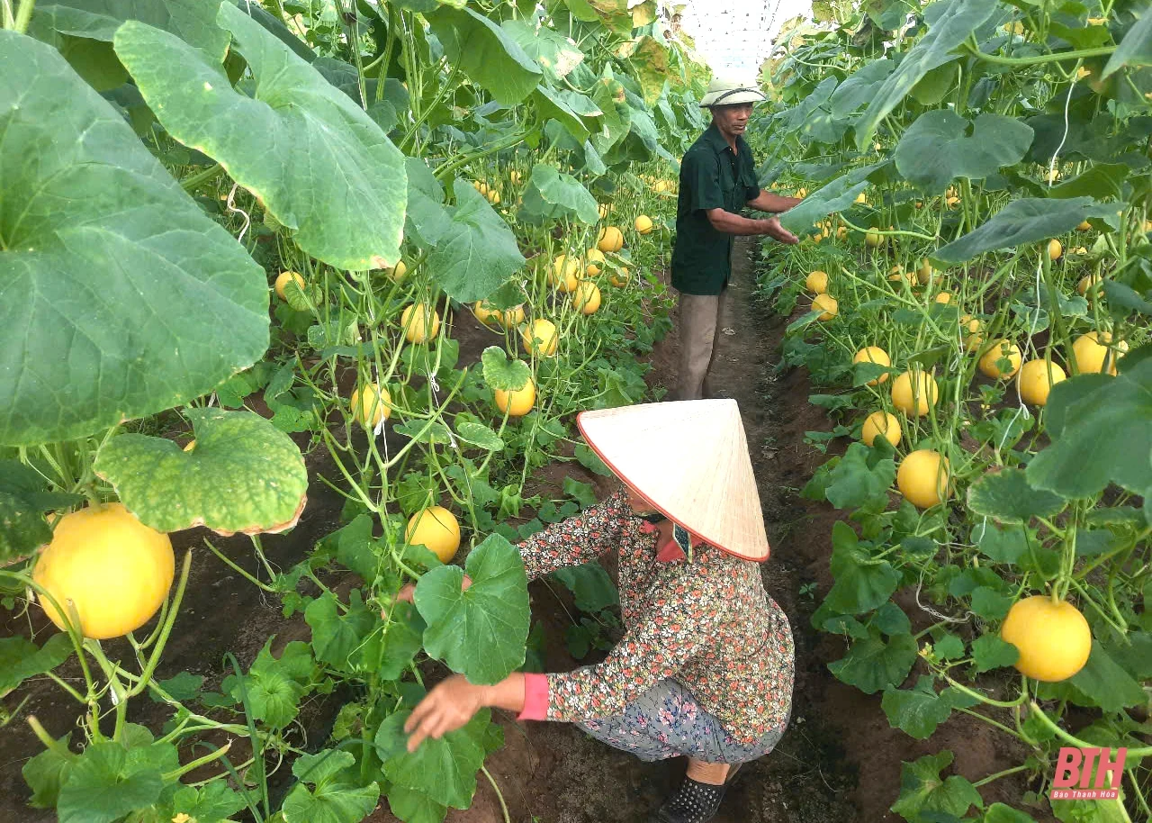 Mô hình tiêu biểu về học và làm theo Bác ở Nga Sơn