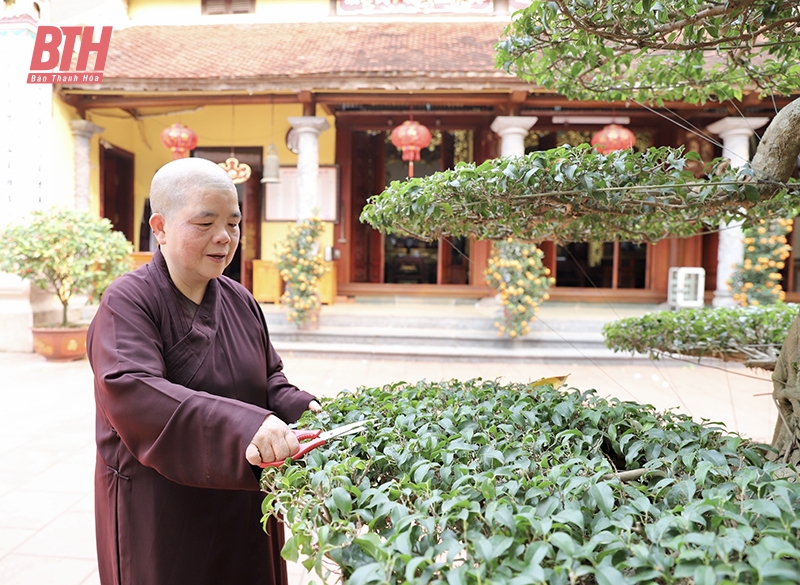Ni trưởng Thích Đàm Hòa - gương sáng tốt đời, đẹp đạo
