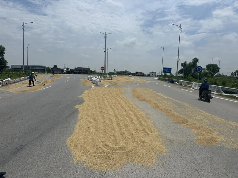 Tiềm ẩn nguy cơ mất an toàn giao thông từ việc phơi cá cược bóng đá m88 trên đường