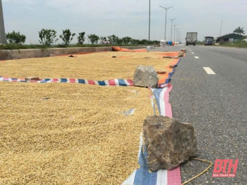 Tiềm ẩn nguy cơ mất an toàn giao thông từ việc phơi cá cược bóng đá m88 trên đường