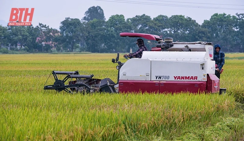 “Rào cản” nâng cao tỷ lệ cơ giới m m88 đồng bộ
