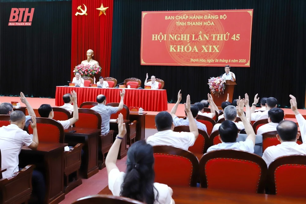 Ban Chấp hành Đảng bộ tỉnh thống nhất về tổ chức bộ máy, biên chế cơ quan MTTQ và các đoàn thể cấp tỉnh