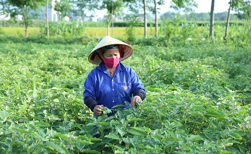 Vai trò của hội khuyến học trong trung tâm link m88 cộng đồng