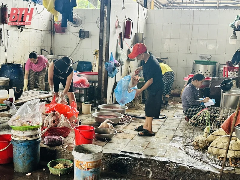 Mối nguy tiềm ẩn từ các cơ sở giết mổ gia súc, kèo nhà cái m88 nhỏ lẻ