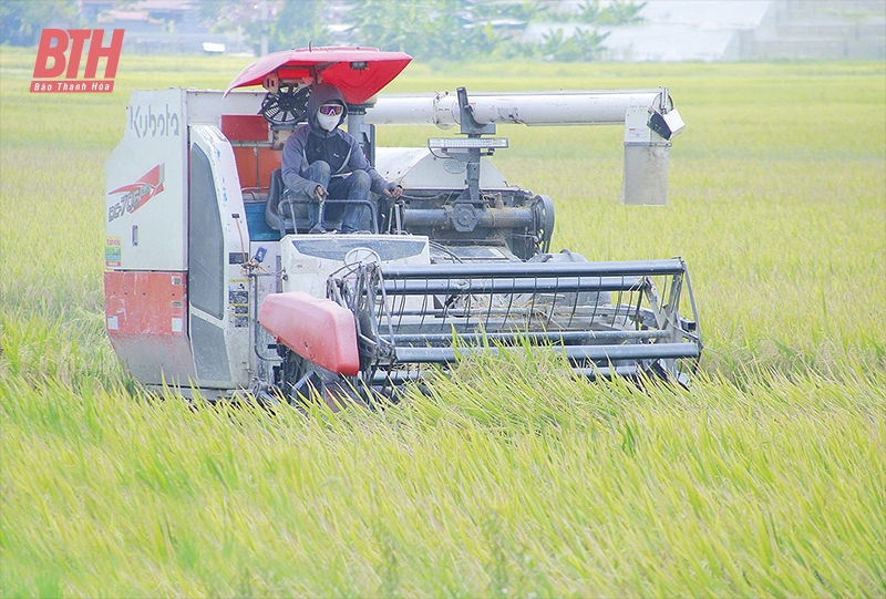 Nông nghiệp thời công nghệ số