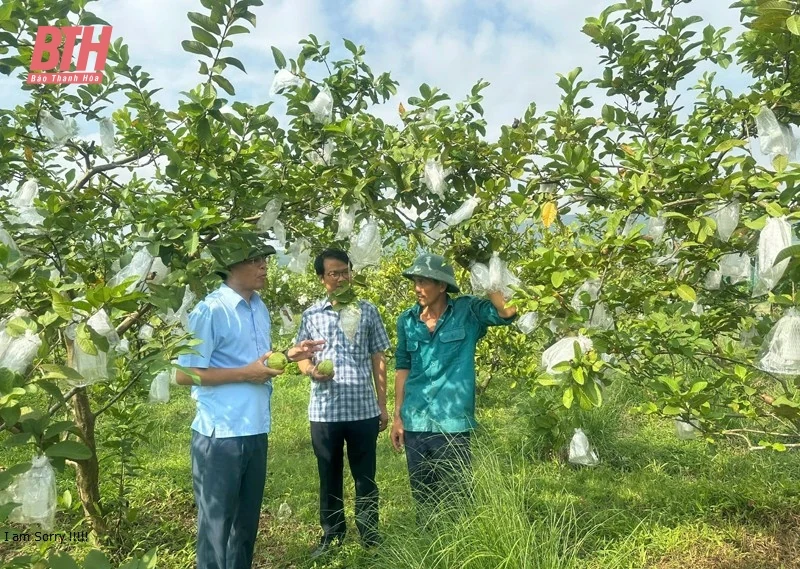 Dấu ấn 10 năm học và làm theo Bác ở Nông Cống