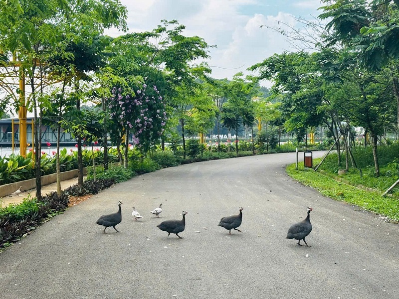 Để tôi nói cho bạn biết sự thật về LAMORI