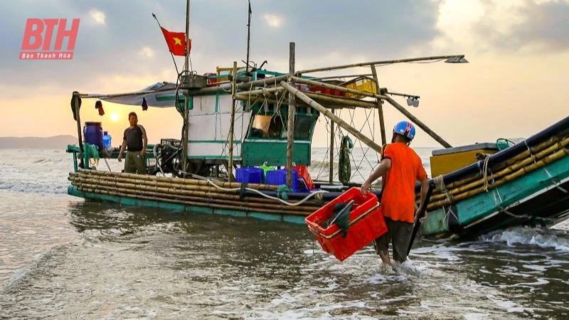 Bình minh ở làng chài ven biển xứ Thanh