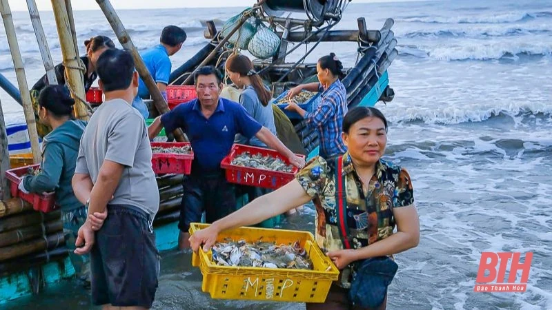 Bình minh ở làng chài ven biển xứ Thanh