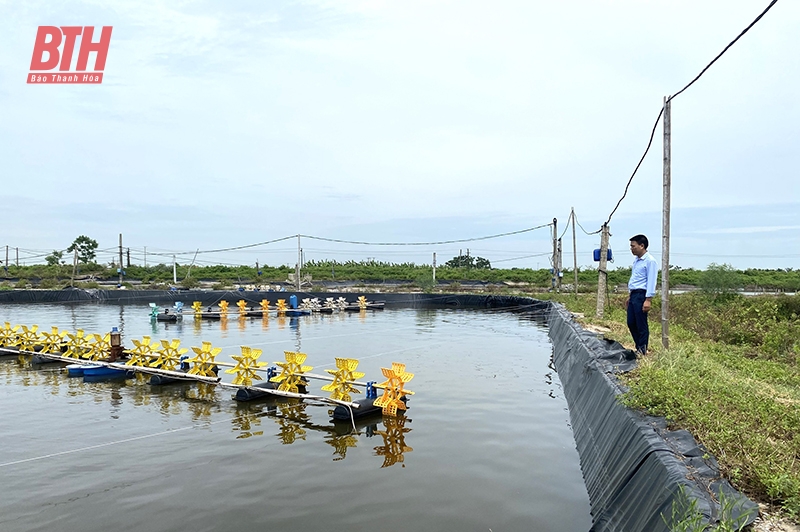 Bảo đảm an toàn trong nuôi trồng thủy sản mùa nắng nóng