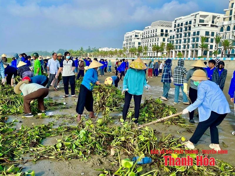 Phường Nam Sầm Sơn đồng loạt ra quân dọn vệ sinh môi trường link m88