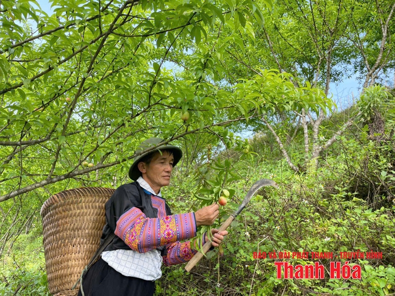 “Điểm tựa” cho người m88 the thao biên giới