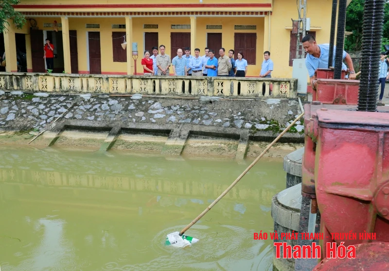 Giám đốc Sở Nông nghiệp và Môi m88 cá cược thể thao trực tuyến kiểm tra tình trạng xác động vật vứt trôi nổi trên kênh
