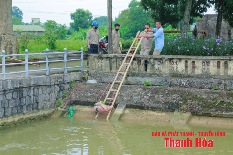 Giám đốc Sở Nông nghiệp và Môi m88 cá cược thể thao trực tuyến kiểm tra tình trạng xác động vật vứt trôi nổi trên kênh