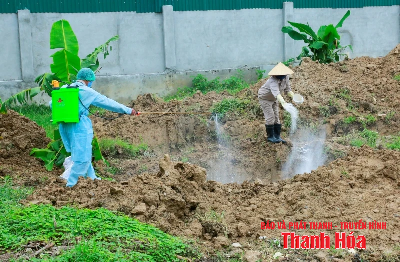 Giám đốc Sở Nông nghiệp và Môi m88 cá cược thể thao trực tuyến kiểm tra tình trạng xác động vật vứt trôi nổi trên kênh