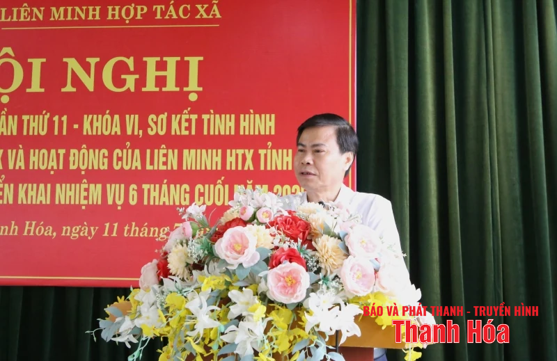 Liên minh HTX tỉnh làm tốt vai trò đại diện, bảo vệ quyền và lợi ích của thành viên