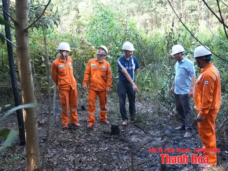 Khắc phục nhanh nhất sự cố, cấp điện trở lại trên đường dây 110kV Nông Cống - Nghi Sơn