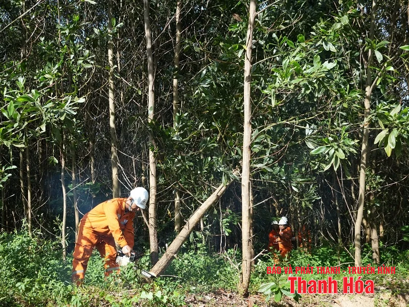 Khắc phục nhanh nhất sự cố, cấp điện trở lại trên đường dây 110kV Nông Cống - Nghi Sơn