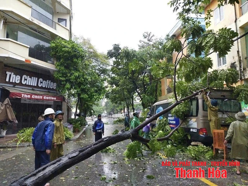 m88 cá cược thể thao trực tuyến và gió giật mạnh khiến hàng loạt cây xanh gãy đổ