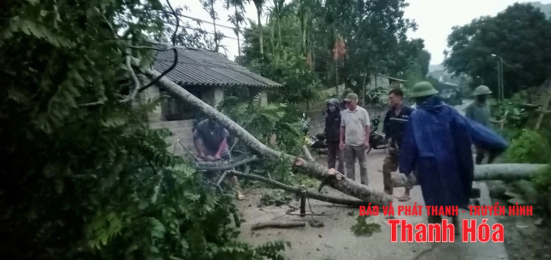 m88 cá cược thể thao trực tuyến và gió giật mạnh khiến hàng loạt cây xanh gãy đổ