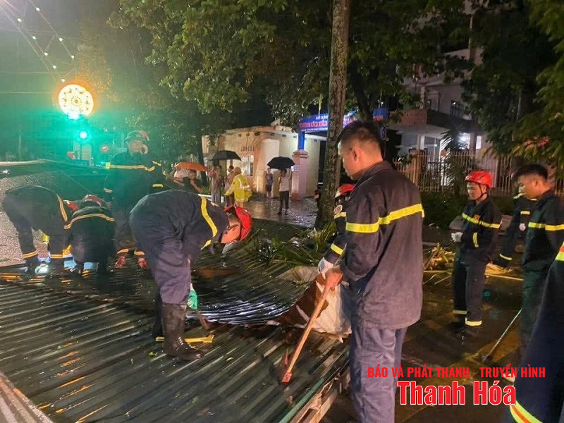 m88 cá cược thể thao trực tuyến và gió giật mạnh khiến hàng loạt cây xanh gãy đổ