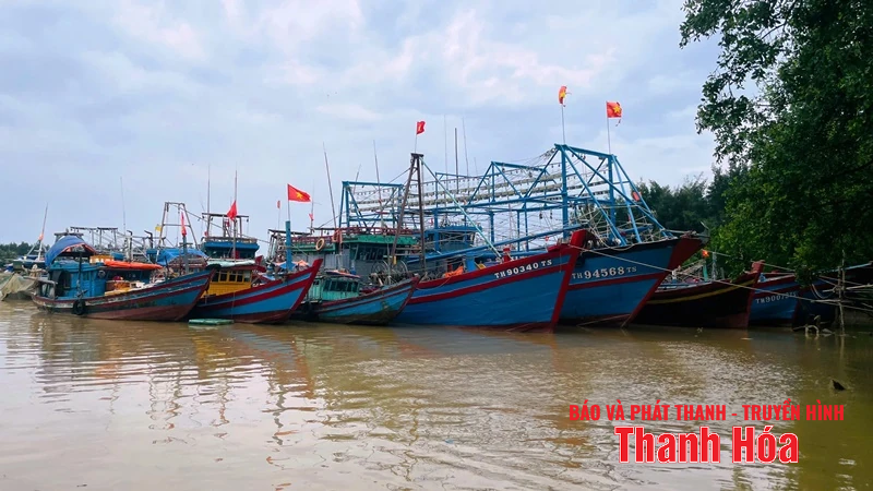 đăng ký m88 đã kêu gọi được 5.755 tàu thuyền về nơi tránh trú an toàn